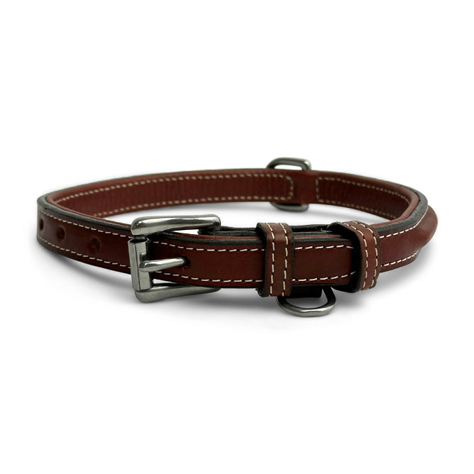 A brown dog with floppy ears and a sleek coat wears a Hanks Belts Bentley Deluxe Raised Collar made of brown leather with stainless steel hardware, gazing slightly upwards against a plain white background.