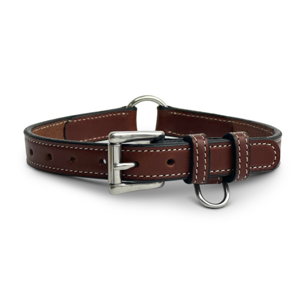 Close-up of a brown and white dog with an open mouth, sporting the Old Reliable Collar With D-Ring by Hanks Belts. This USA-made collar is crafted from vegetable-tanned leather, featuring white stitching and a metallic buckle against a plain white background.