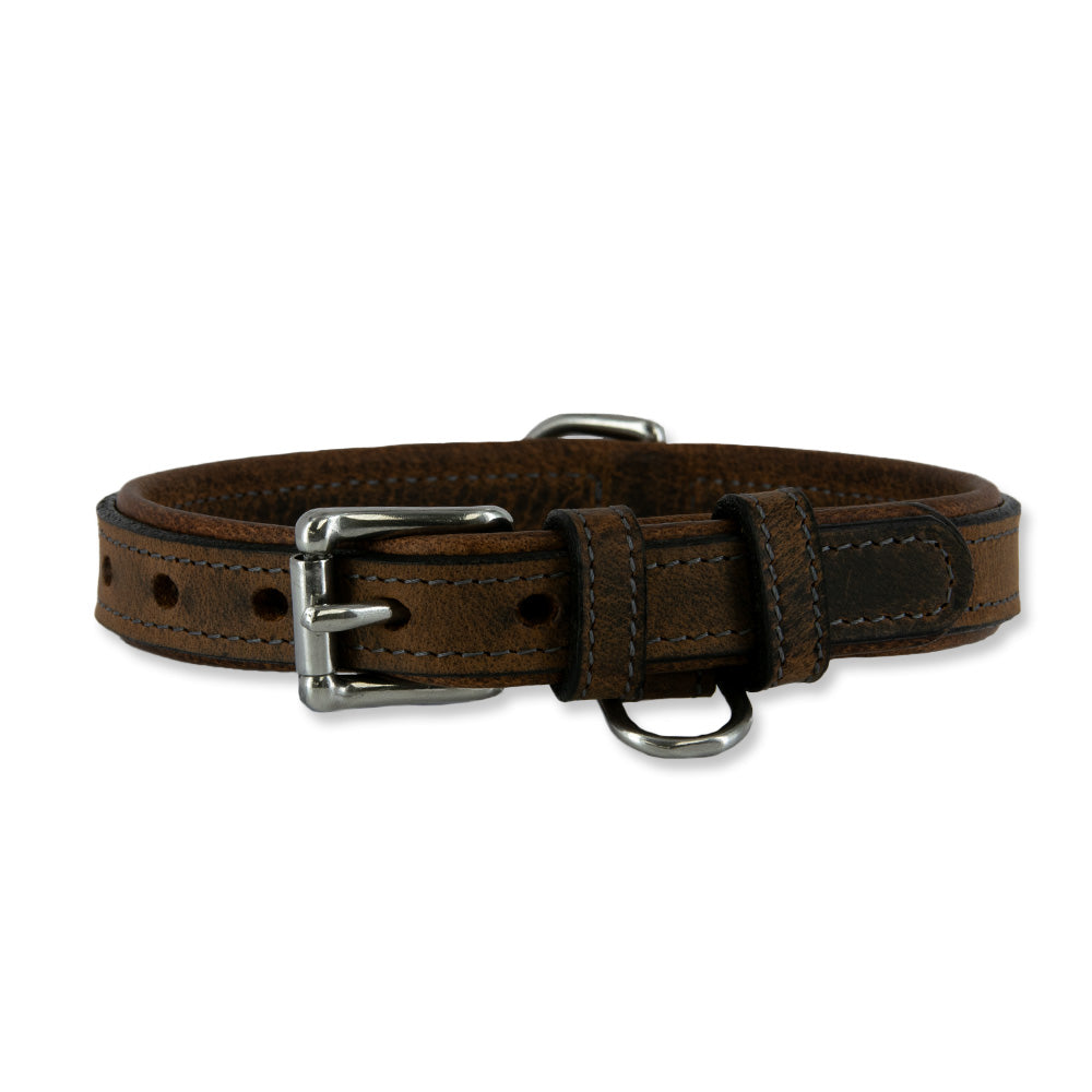 Against a white background, a brown dog with large ears and a white chest gazes upwards. It wears the Kodak Collar by Hanks Belts, crafted from Premium Bison Leather, featuring heavy-duty stainless steel hardware for style and durability.