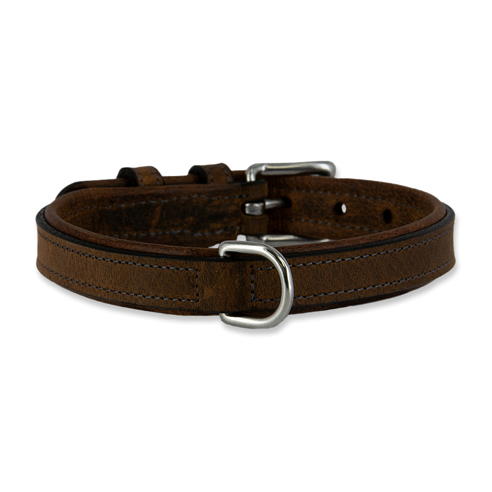 Front of Kodak Collar in Brown