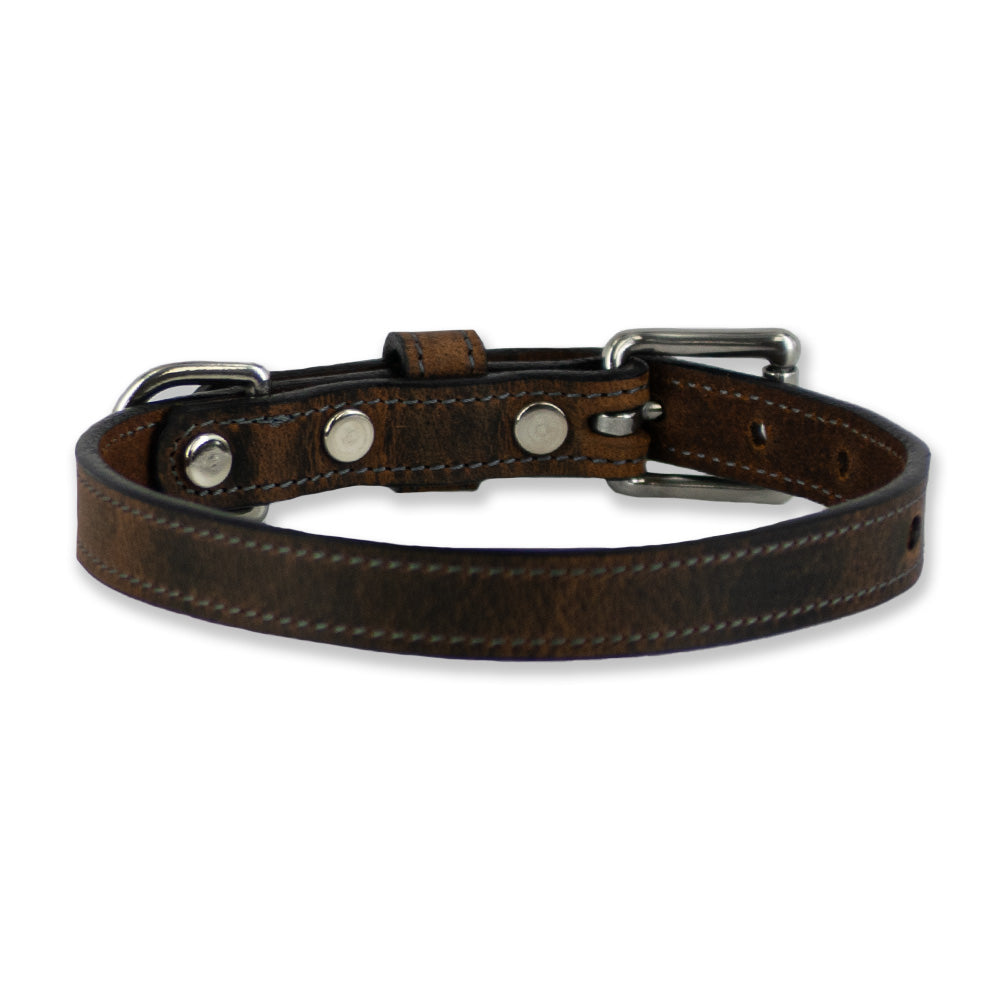 Back of Ollie Collar in Brown