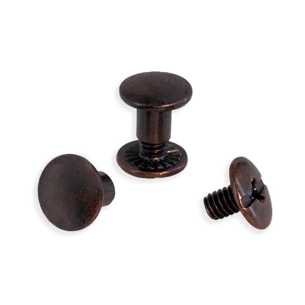 bronze 1/4&quot; Chicago screws on white background