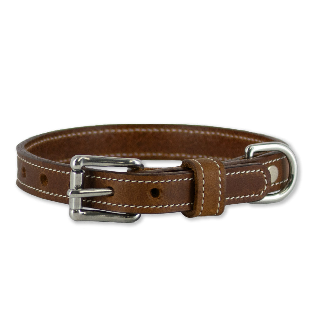 The Ollie Collar by Hanks Belts is a brown leather dog collar with white stitching, crafted from premium English bridle leather. It features a metallic buckle, multiple adjustment holes for size fitting, and stainless steel hardware including a silver metal ring for attaching a leash or identification tags.