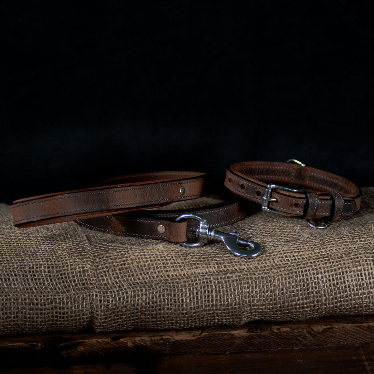 Kodak Leash and Collar on Burlap in Brown